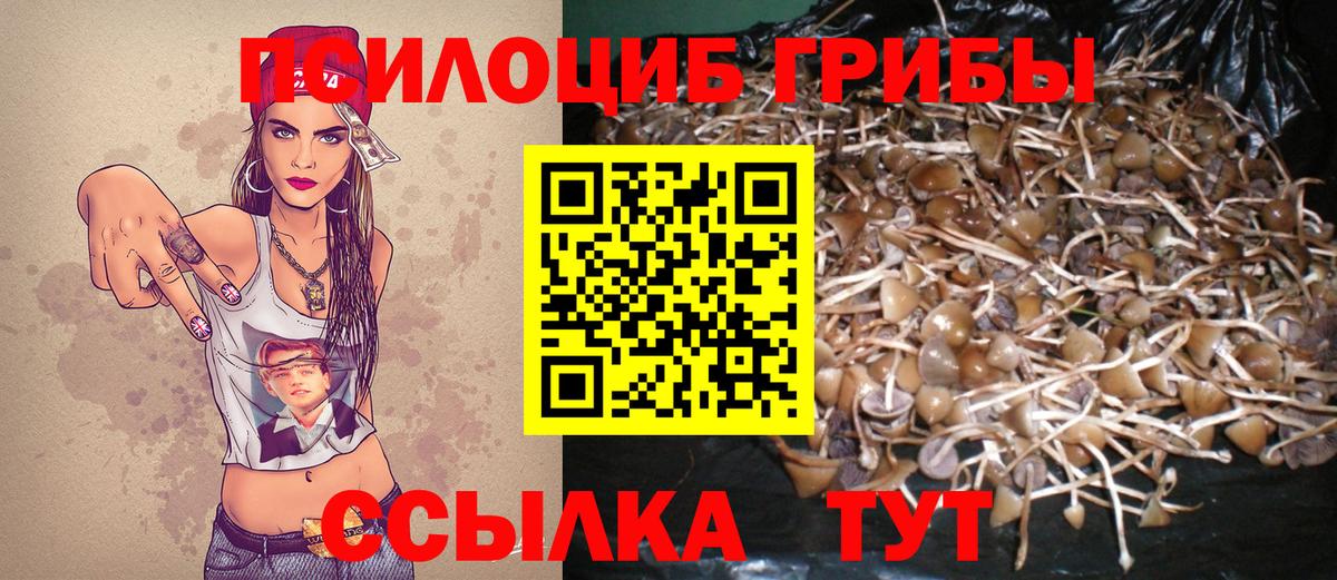Галлюциногенные грибы Psilocybe  как найти закладки  Таганрог  Вход с VPN  Галлюциногенные грибы Magic Shrooms 