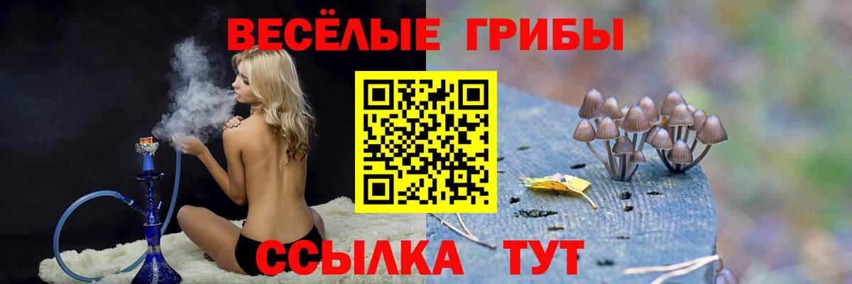 Галлюциногенные грибы мицелий Таганрог